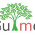 Gulmor Alternatives