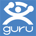 Guru Com Alternatives