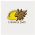 Hermes Jms Alternatives