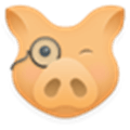 Hogwasher Alternatives