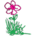Homeland Florists Alternatives
