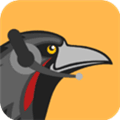 Huginn Alternatives