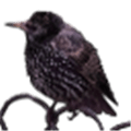 Hunt N Peck Alternatives