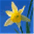 icon utils Alternatives