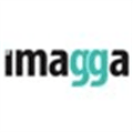 imagga Alternatives