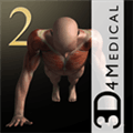 imuscle 2 Alternatives