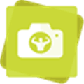 instatransformation Alternatives