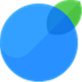 invoiceberry Alternatives