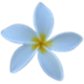 Jasmine im Alternatives