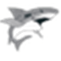Jaws For Windows Alternatives