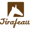 Jirafeau Alternatives