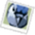 Juploadr Alternatives