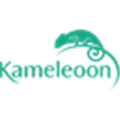 Kameleoon Alternatives