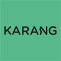 Karang  Tuner For Guitar Alternatives