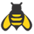 Keyword Bee Alternatives