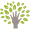 Khan Academy Alternatives