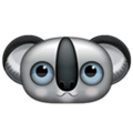 Koala Alternatives