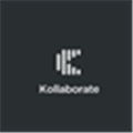 Kollaborate io Alternatives