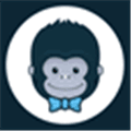 Kong Alternatives