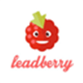 Leadberry Alternatives