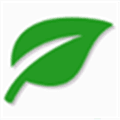 Leaf Css Framework  Alternatives