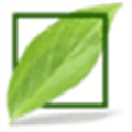 Leafchat Alternatives