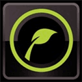 Leafsnap Alternatives