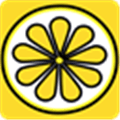 Lemon Group Messenger Alternatives
