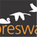 Libreswan Alternatives