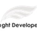Light Developer Alternatives