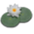 Lilypond Alternatives