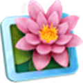 Lilyview Alternatives