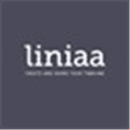 Liniaa  Create And Share Your Personal Timeline Alternatives