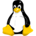 Linux Kernel Alternatives