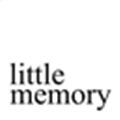 Little Memory Alternatives