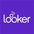 Looker Alternatives