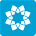 Lotus Themes Alternatives