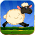 Lucky The Sheep  Farm Run Alternatives