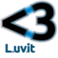 Luvit Alternatives