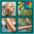 Magic Princess Jigsaw Puzzle Alternatives