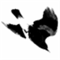 Magpie 1 Alternatives