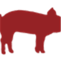 Mailhog Alternatives