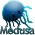 Medusa  Disassembler Alternatives