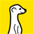 Meerkat Alternatives