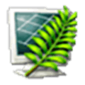 Metasequoia Alternatives