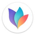 Mindnode Alternatives