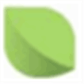 Mint A Fresh Look At Your Site Alternatives
