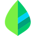 Mint Alternatives