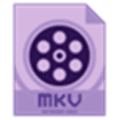 Mkv Video Converter Alternatives