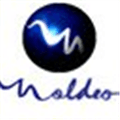 Moldeo Alternatives